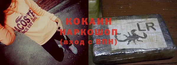 мдпв Гусев