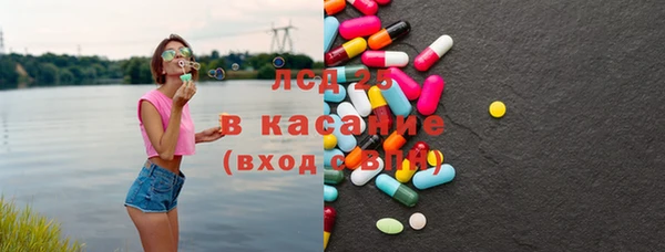 мдпв Гусев