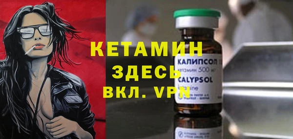 мдпв Гусев