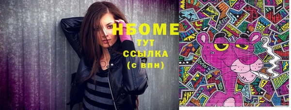 мдпв Гусев
