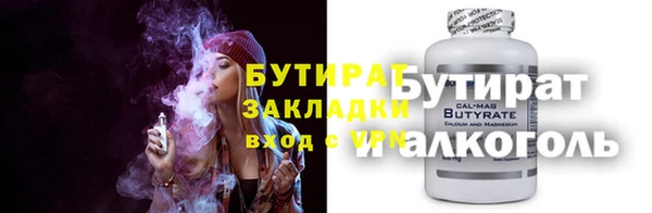 мдпв Гусев