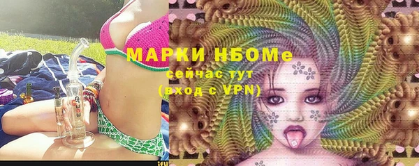 бошки Гусь-Хрустальный