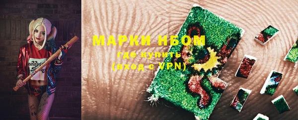 PSILOCYBIN Гусиноозёрск
