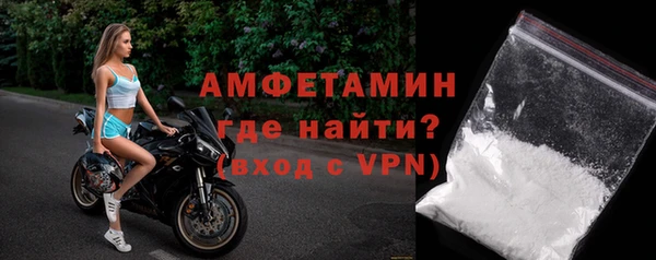 мдпв Гусев