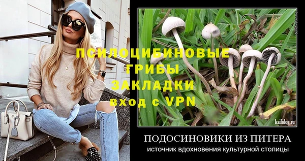 бошки Гусь-Хрустальный