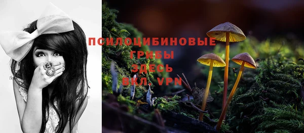 мдпв Гусев