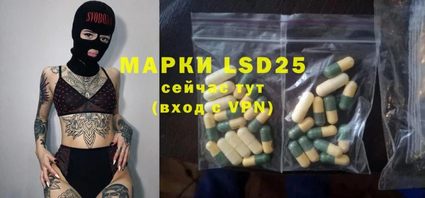 PSILOCYBIN Гусиноозёрск